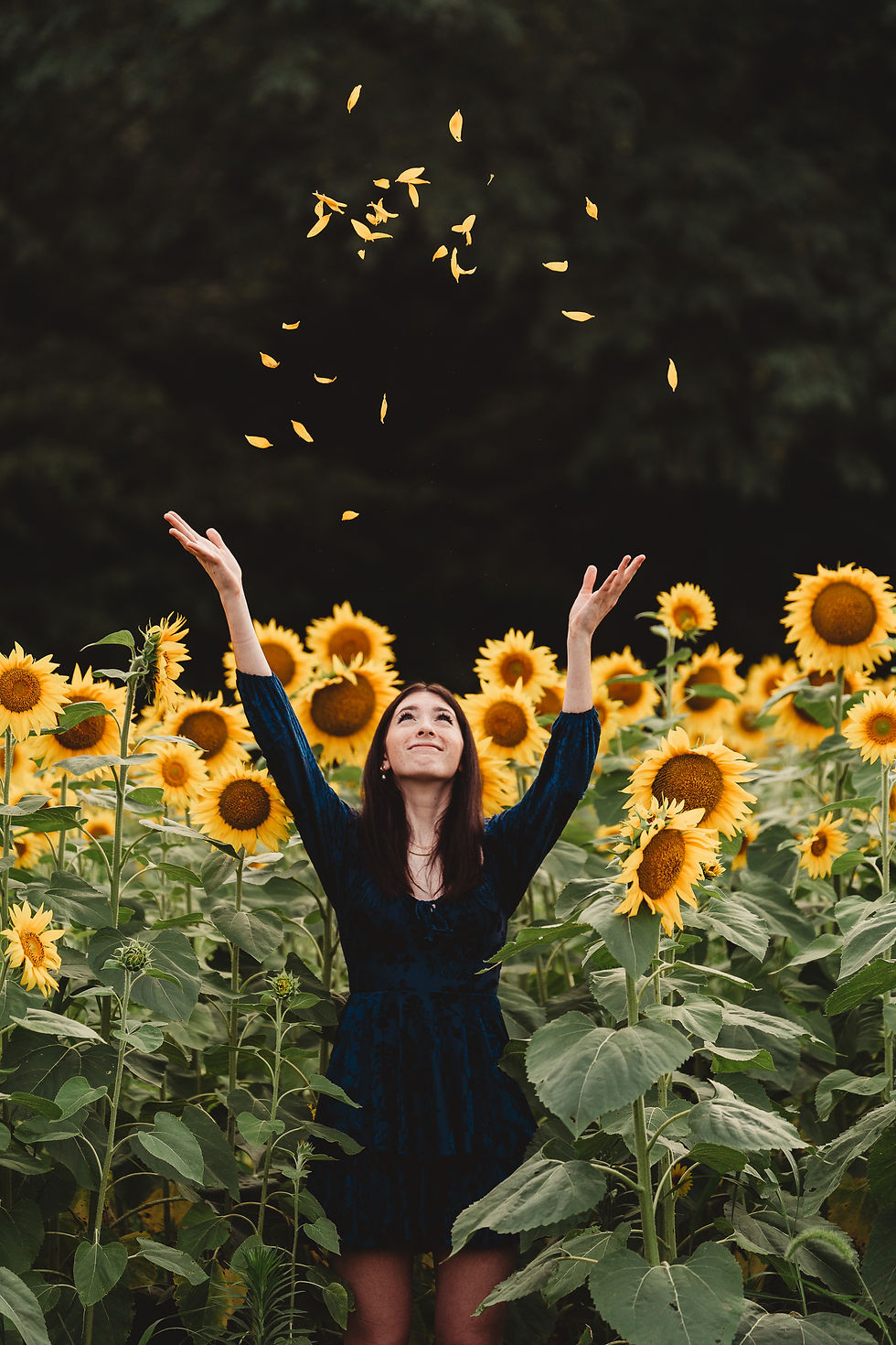 Thumbnail: Sunflower Sessions