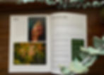 Thumbnail: Light Seekers - Learning to See and Seak Our Creator Through theLens