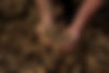 unnamed.jpg