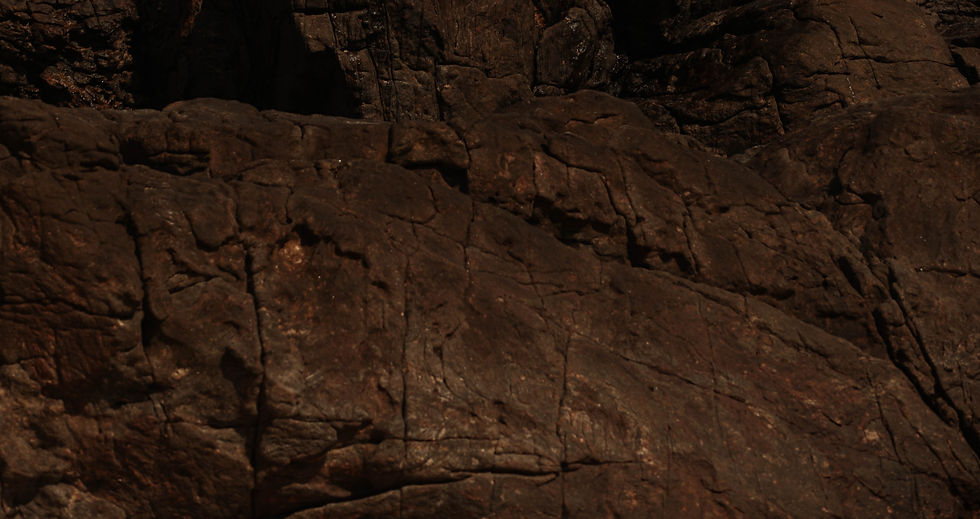 Haute (853)_edited.jpg