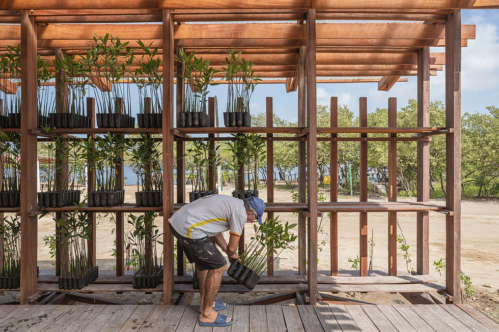 AUDITORIUM: CUNA: Escuela porosa de construcción de paisaje