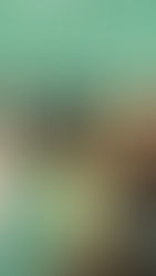 Charlotte Made The Right Call By Not Trading For Giannis Antetokounmpo