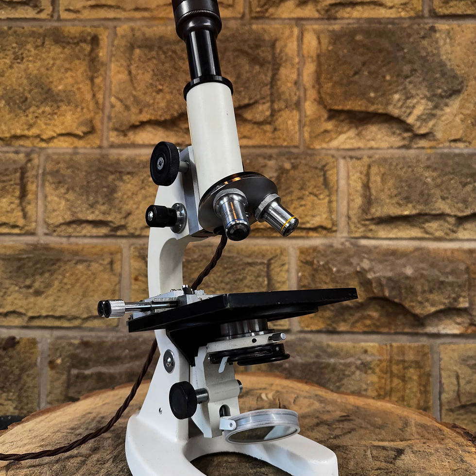 Thumbnail: The Microscope