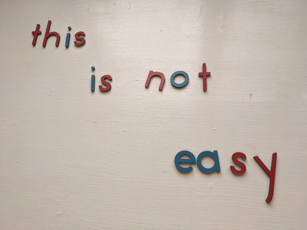 How Children Learn to Read