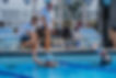 SC807786.JPG