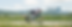 _DSC3260-1_edited.png
