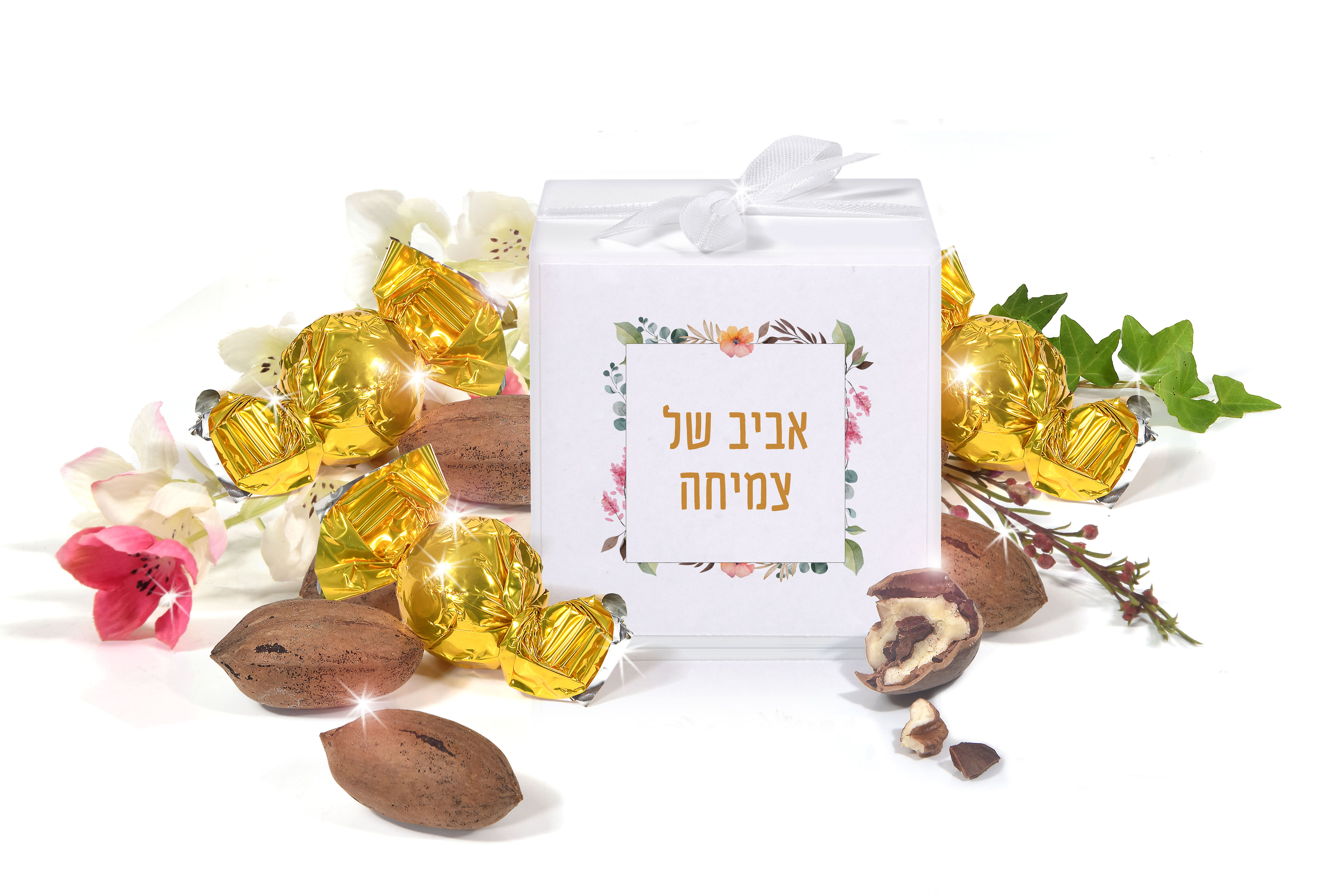 אביב של צמיחה (קוביה M)