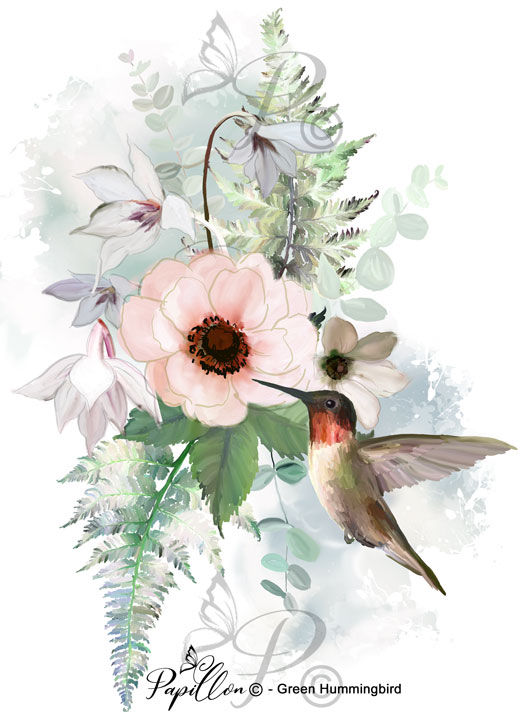 1054-Green-Hummingbird - Rub-On Image Transfer