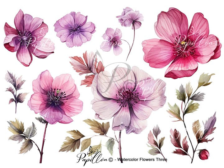 1137-watercolor-flowers-transfer-rub-on