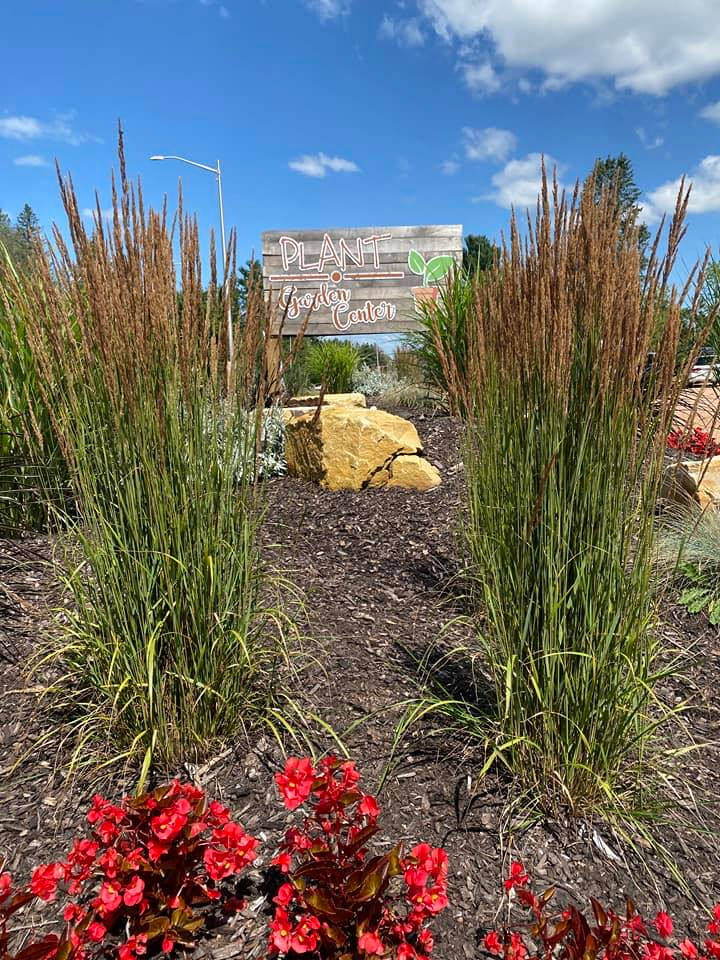Plant Garden Center Entrance sign with two fountain grass & princess purple grass in forefront