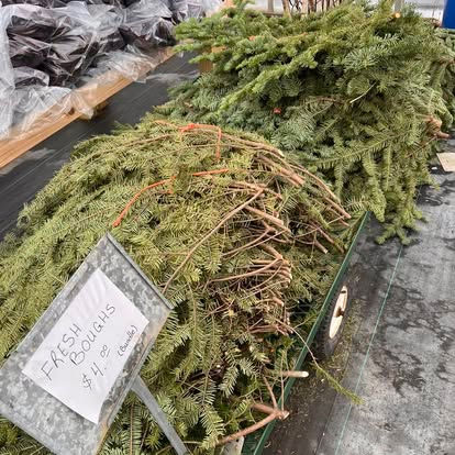 480756422_545399531889698_5665034899401669488_n