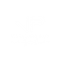 VisualProjectMexicoLogo.PNG