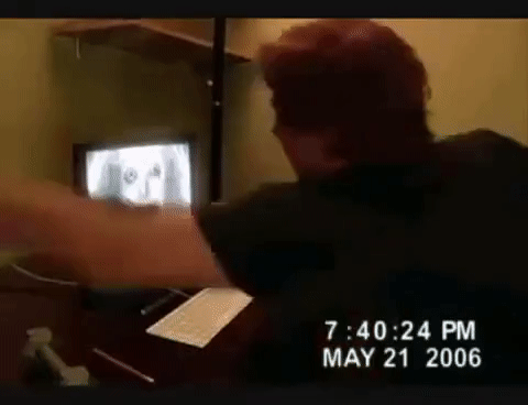 FloweryAmusedGermanshorthairedpointer-sm