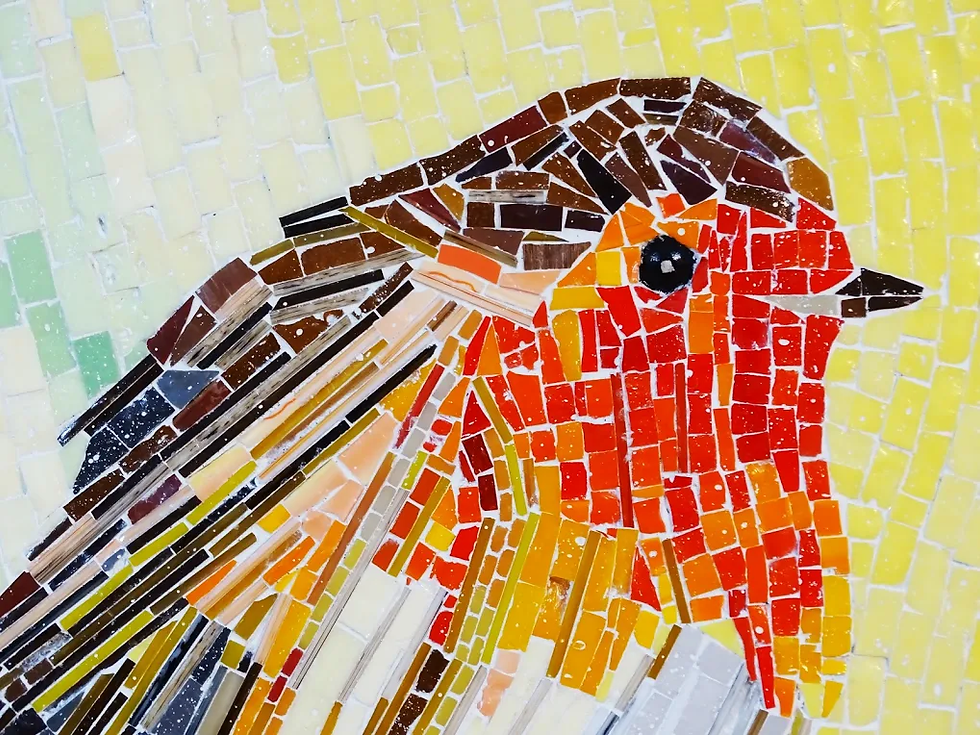Roodborst detail 1