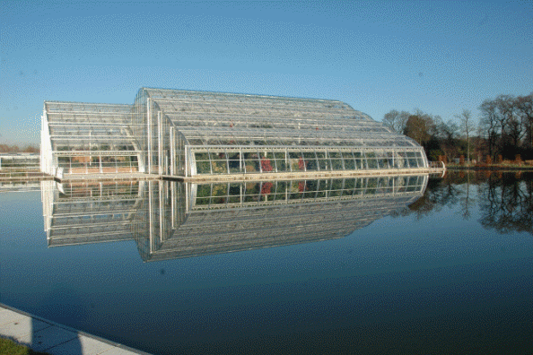 Wisley tropical glass house.