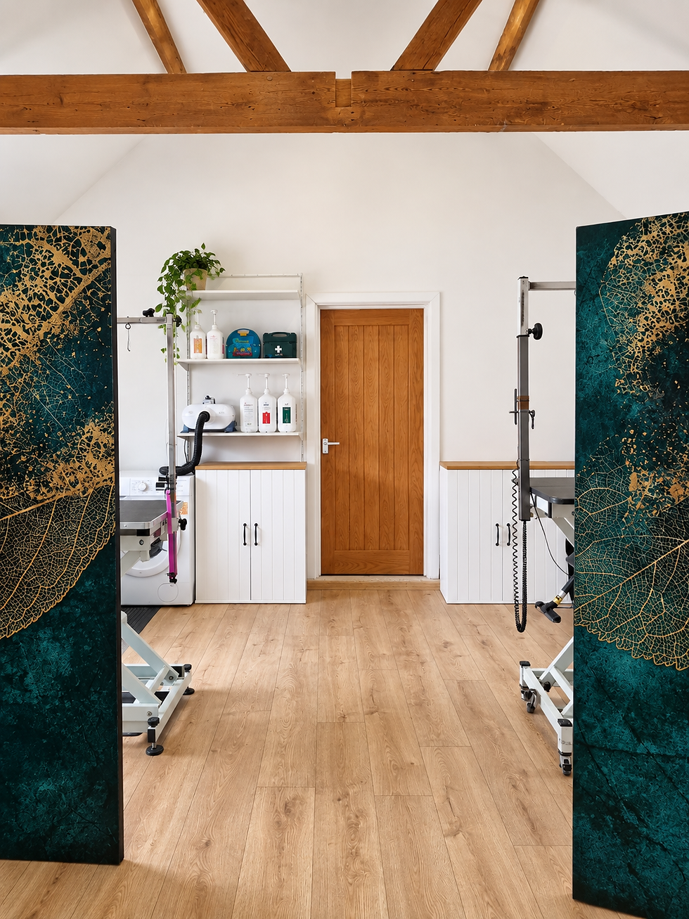 Professional cleaning of a dog grooming salon, removing hair and sanitising equipment