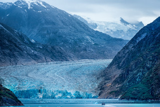 Fighting Climate Change In Your Daily Life, Part 1