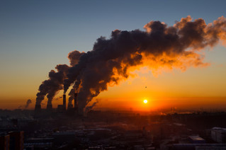 Fighting Climate Change In Your Daily Life, Part 2