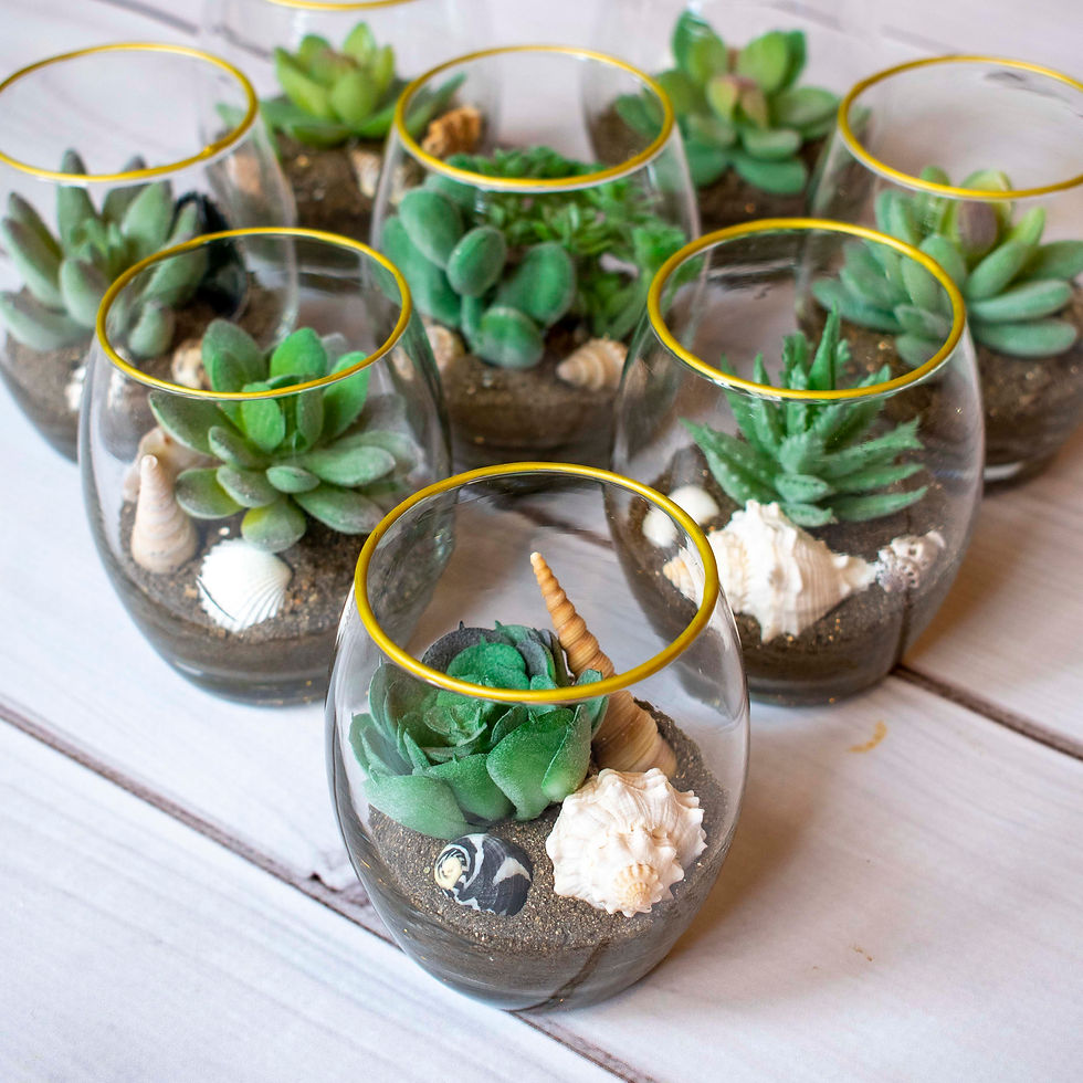 Thumbnail: Small Glass Faux Succulent Shells & Sand Terrariums