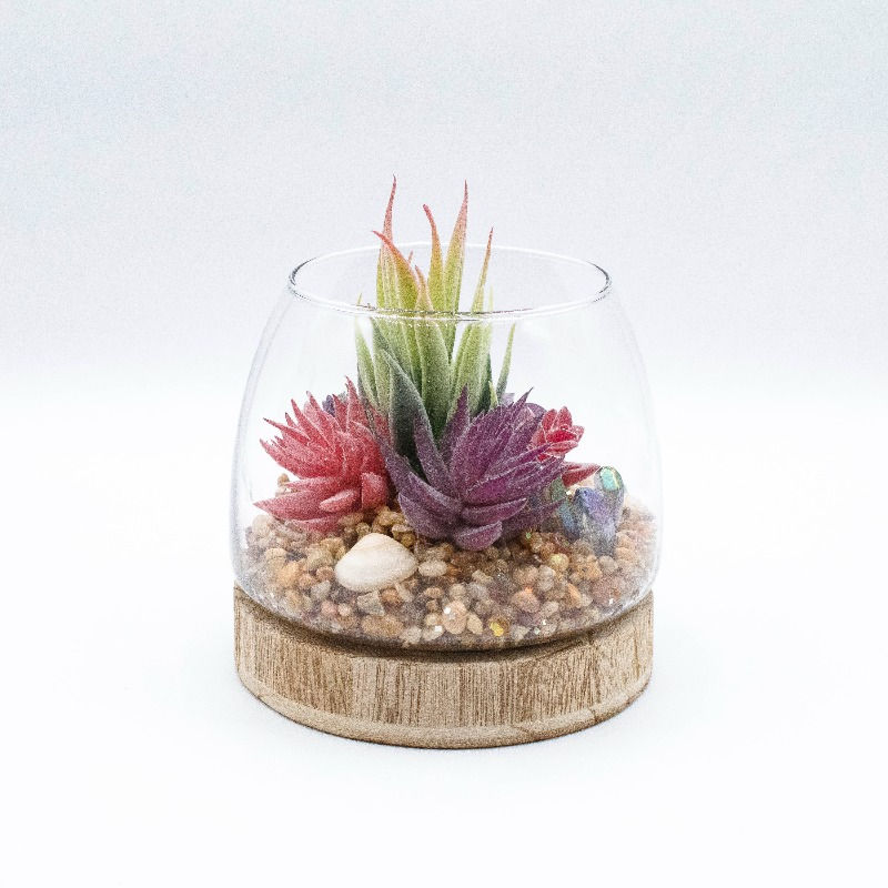 Thumbnail: Farmhouse Style Large Succulent Terrarium