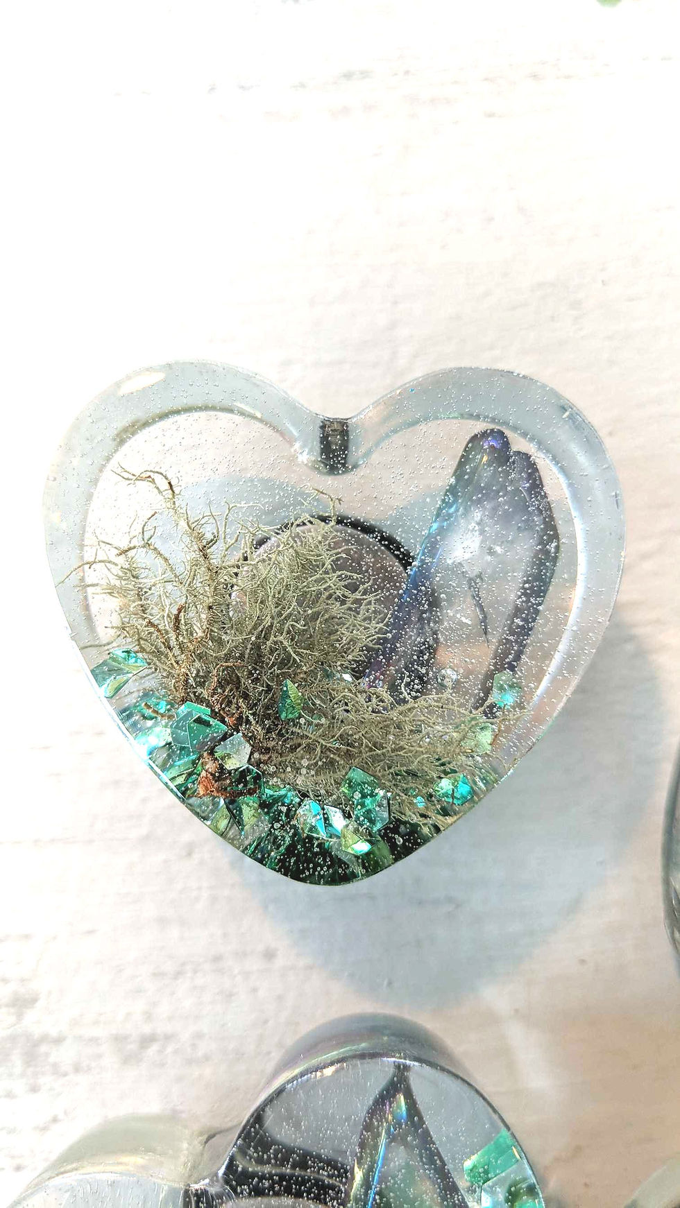Thumbnail: Resin Heart Magnets with Air Plant & Calming Crystal Accents