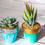 Thumbnail: Faux Succulent Watercolor Planter
