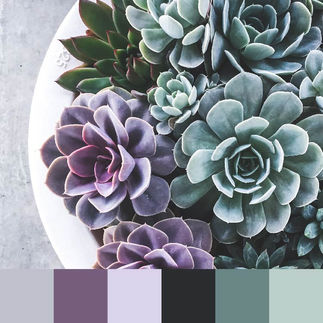 Color Palette: Elegant & Serene