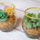 Thumbnail: Small Glass Faux Succulent Pebble Terrariums