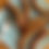 Thumbnail: HALF PIG