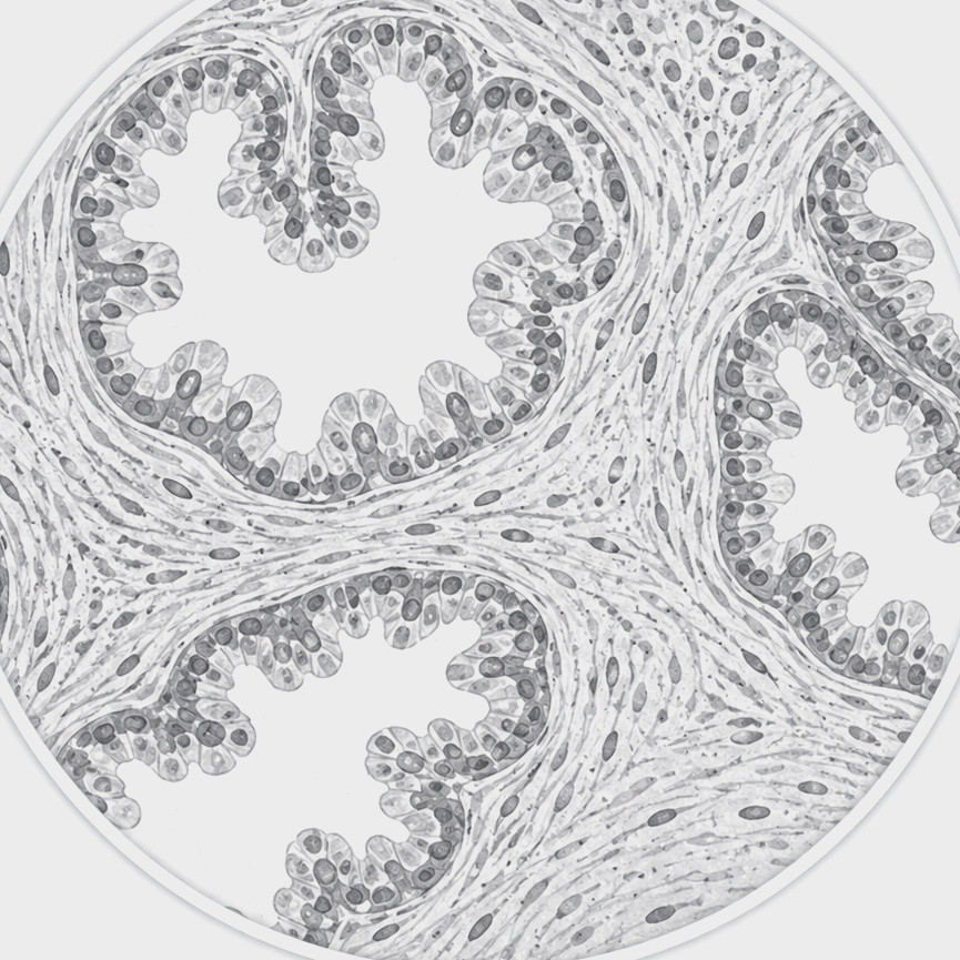 a83d2552-58db-4476-b832-847e7f48c8a8.png