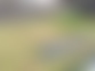 時間だけはあるので草刈りボランティアします