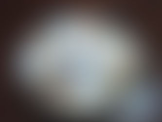 古伊万里柄で映えます