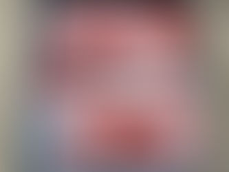 長崎市野母崎イカ釣り始まりました 光隆丸