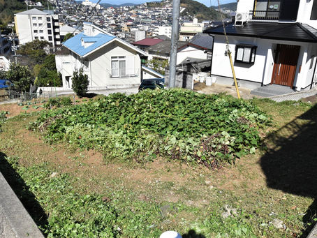 保育園 芋掘り前のお手伝い