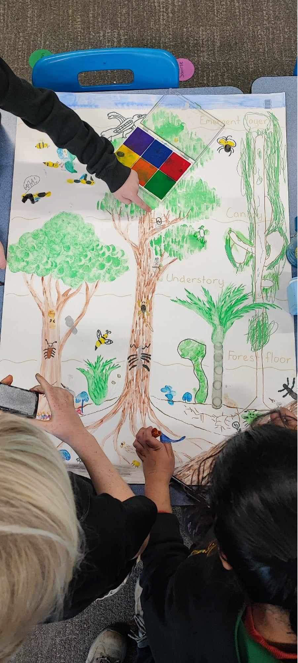 Drawing of the forest structure