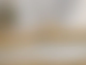 Feral Cats in the Corridor: What’s Really Happening