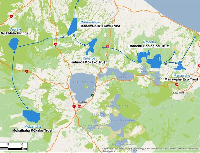 BOPcorridors-scaled-cropped.jpg