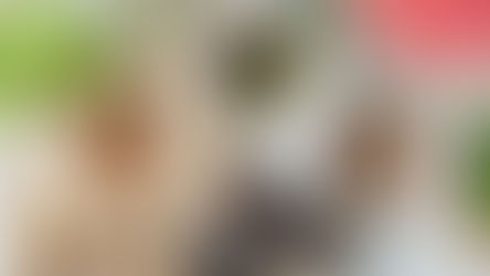 A systematic review investigating successful behavior change methods and strategies to reduce animal-based protein consumption