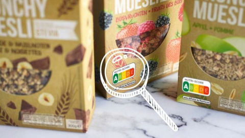 The impact of the Nutri-Score nutrition label on perceived healthiness and purchase intentions