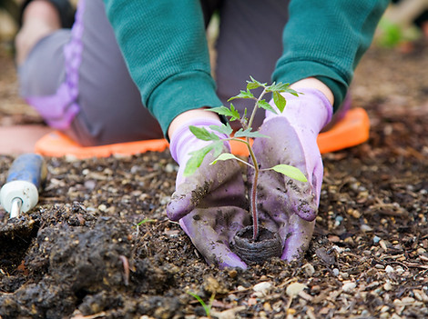 Gardening Services London