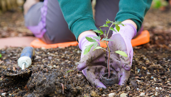 Why It's Important to Protect our Environment