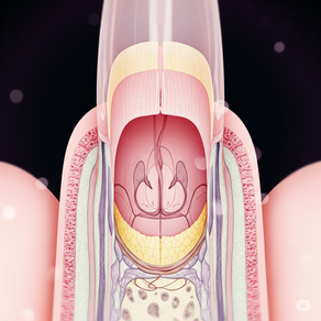 Ciência da Unha – Coluna Técnica Ponucle
