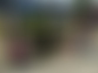 Community-Based Emergency Response Plan and Preparedness in Malaysia