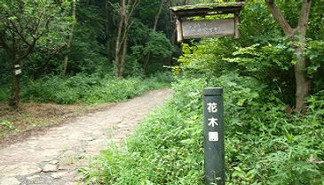 花木園