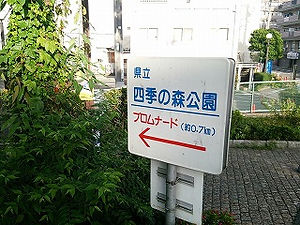 四季の森公園プロムナード