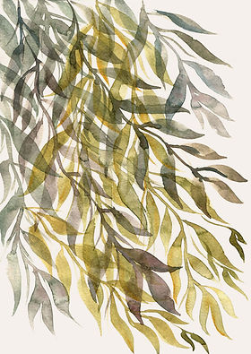 1.Leaves_A6.jpg