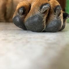 IMG_0682.jpeg
