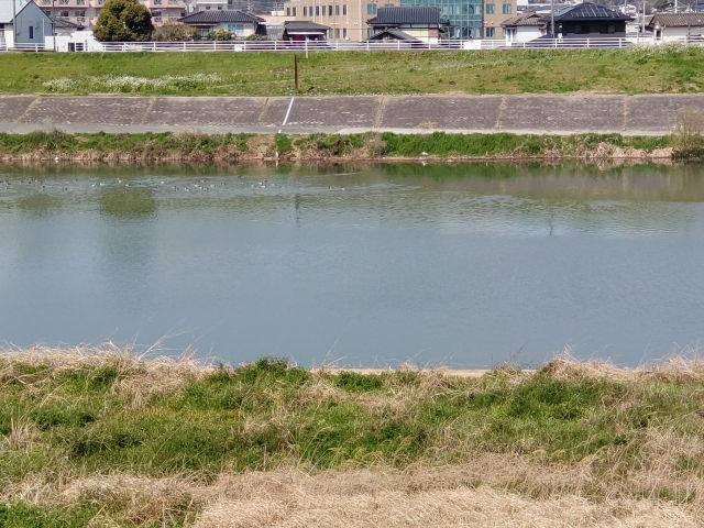 早朝の一斉清掃と、これからの「住民参加型」環境整備に思うこと