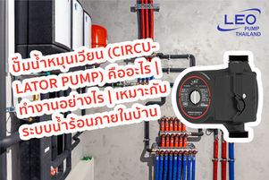 ปั๊มน้ำหมุนเวียน (Circulator Pump) คืออะไร 