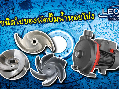 ชนิดใบพัดของปั๊มน้ำหอยโข่ง
